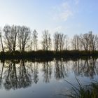 Weiher am Karlsfelder See