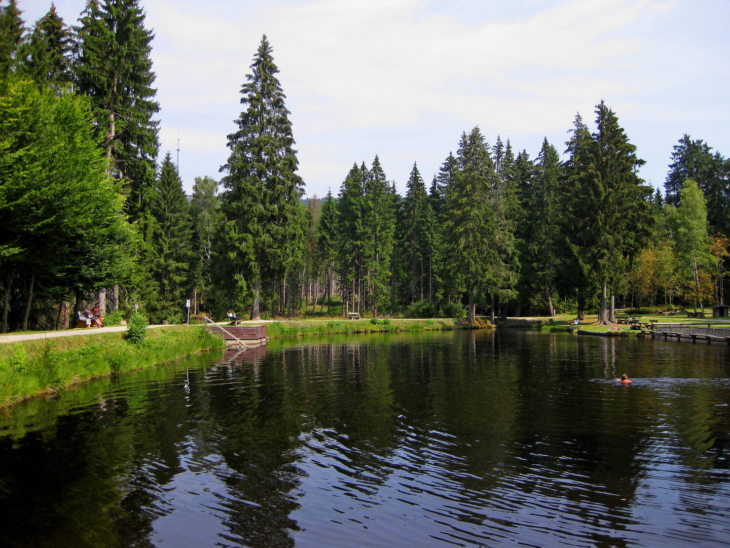 Weiher am Moorbad Fleckl (Fichtelgebirge)