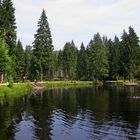 Weiher am Moorbad Fleckl (Fichtelgebirge)