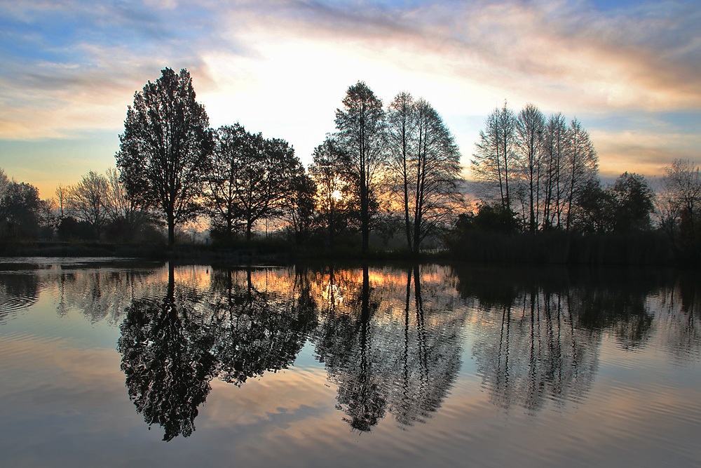 Weiher am Morgen