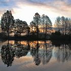 Weiher am Morgen