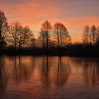 Weiher am Morgen