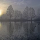 Weiher am Morgen