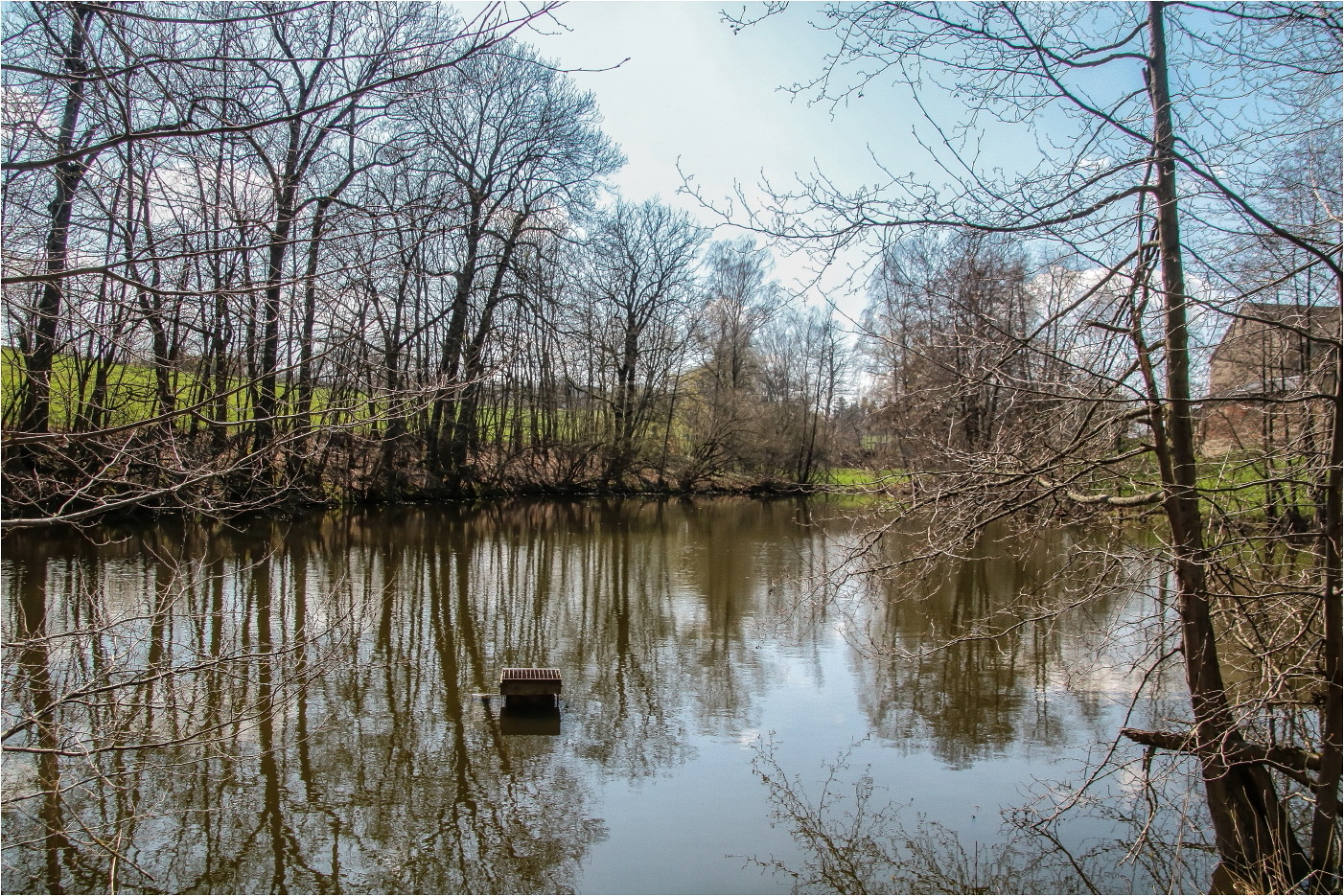 Weiher am Wald