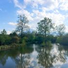 Weiher an der Adligenstrasse