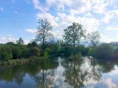 Weiher an der Adligenstrasse