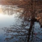 Weiher an der Kleinmühle