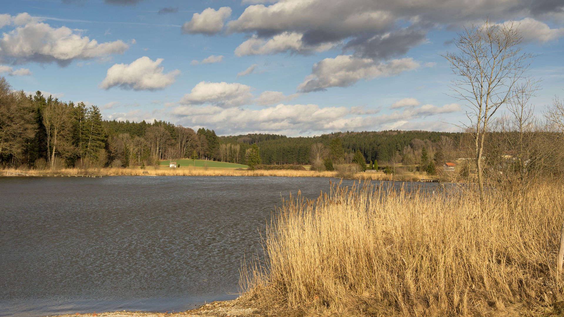 Weiher Aufhofen im Frühlingssturm