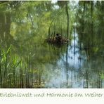 °Weiher°