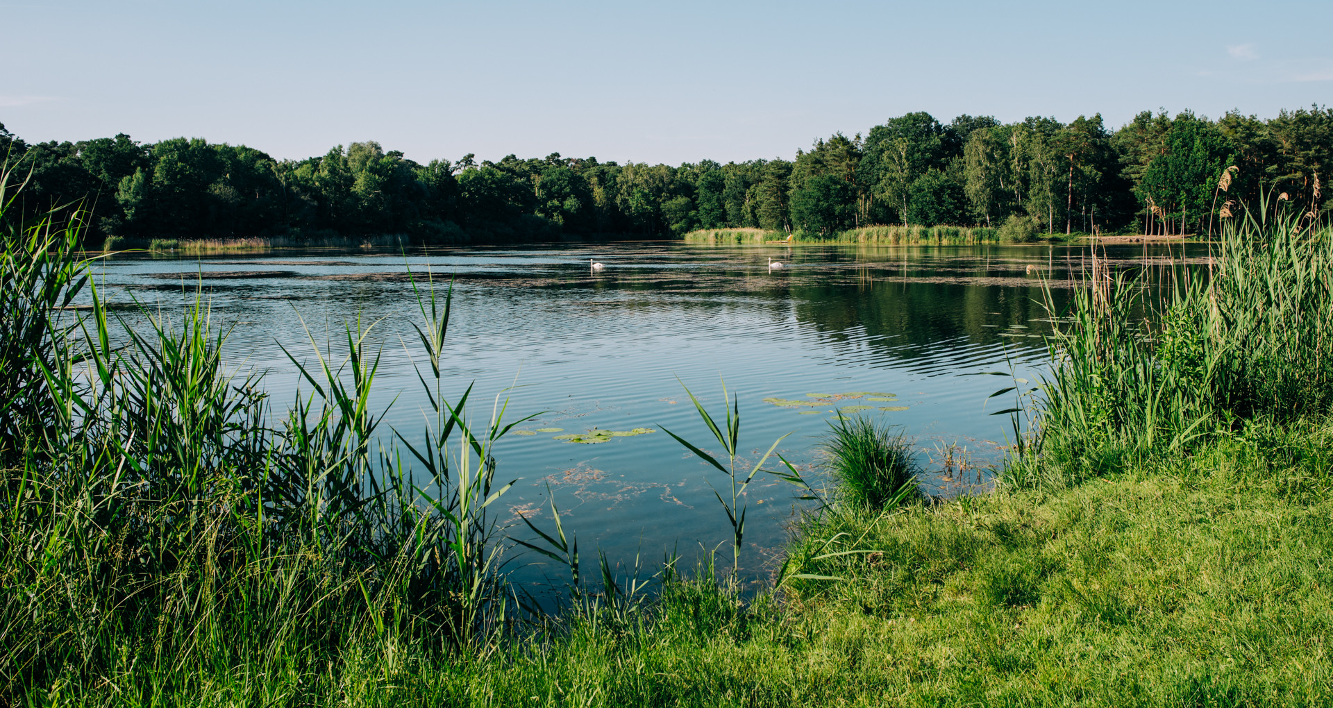 Weiher bei Böhl-Iggelheim Pfalz 1 2018