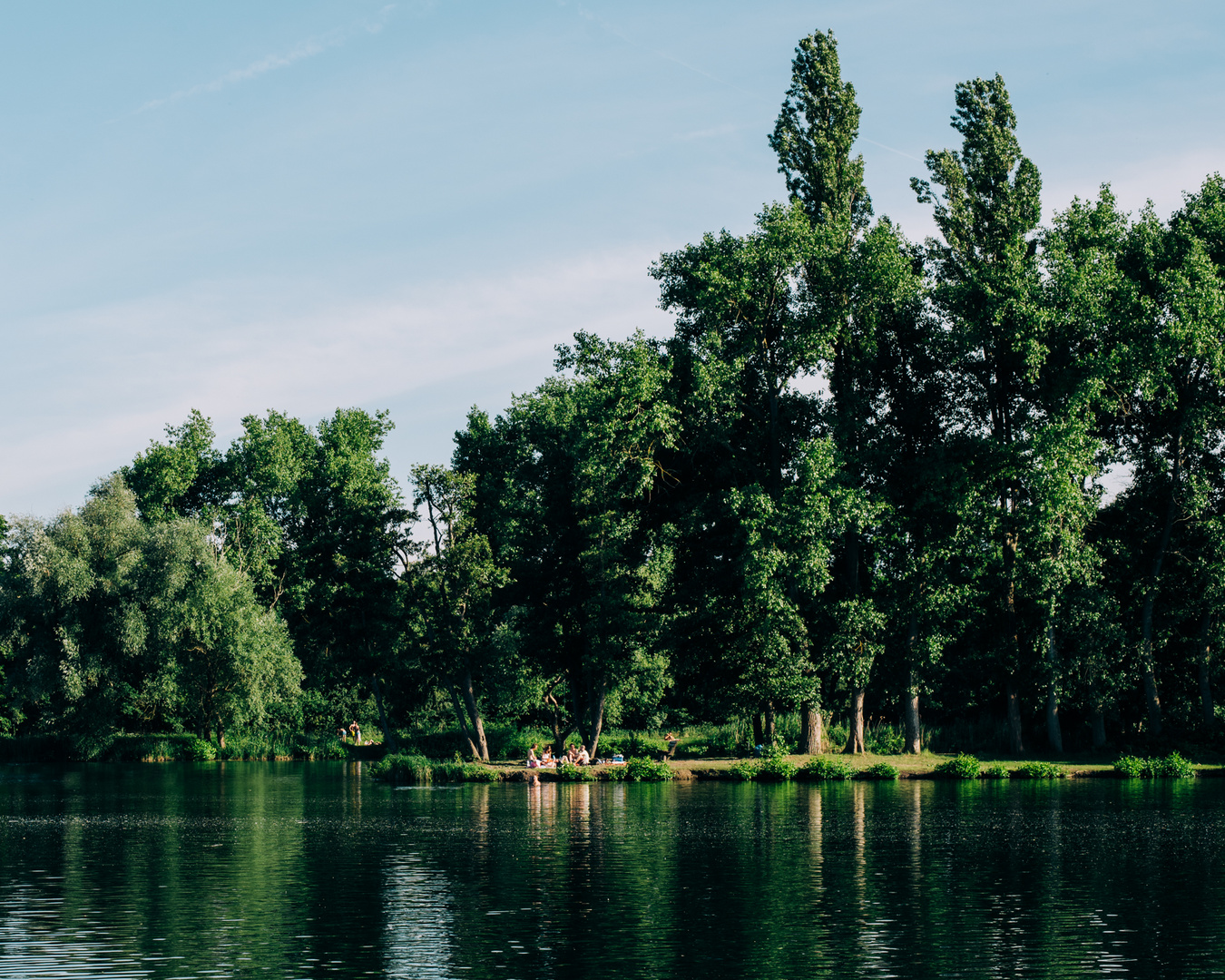 Weiher bei Böhl-Iggelheim Pfalz 2 2018