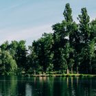 Weiher bei Böhl-Iggelheim Pfalz 2 2018