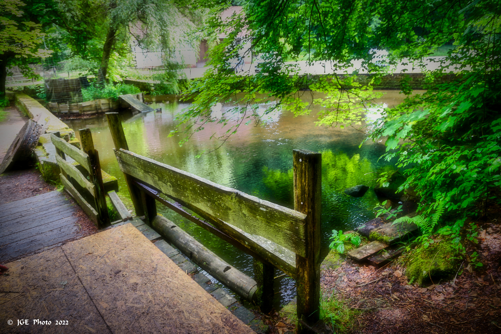 Weiher bei der Klugischen Mühle (Nähe Trippstadt)