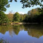 Weiher bei Kreuztal-Burgholdinghausen (an der Bundesstraße 517)