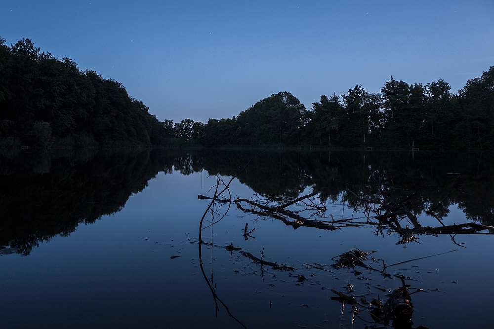 Weiher bei Nacht