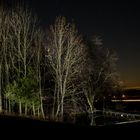 Weiher bei Nacht