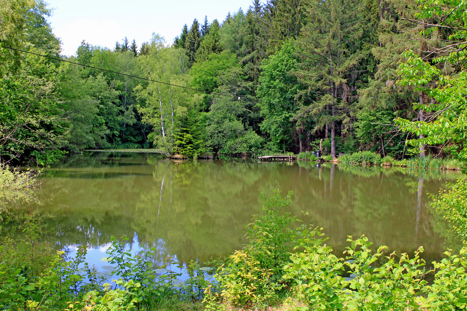 Weiher bei Reichshof-Heidberg NRW (erstellt aus JPEG Datei)