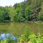 Weiher bei Reichshof-Heidberg NRW (erstellt aus JPEG Datei)