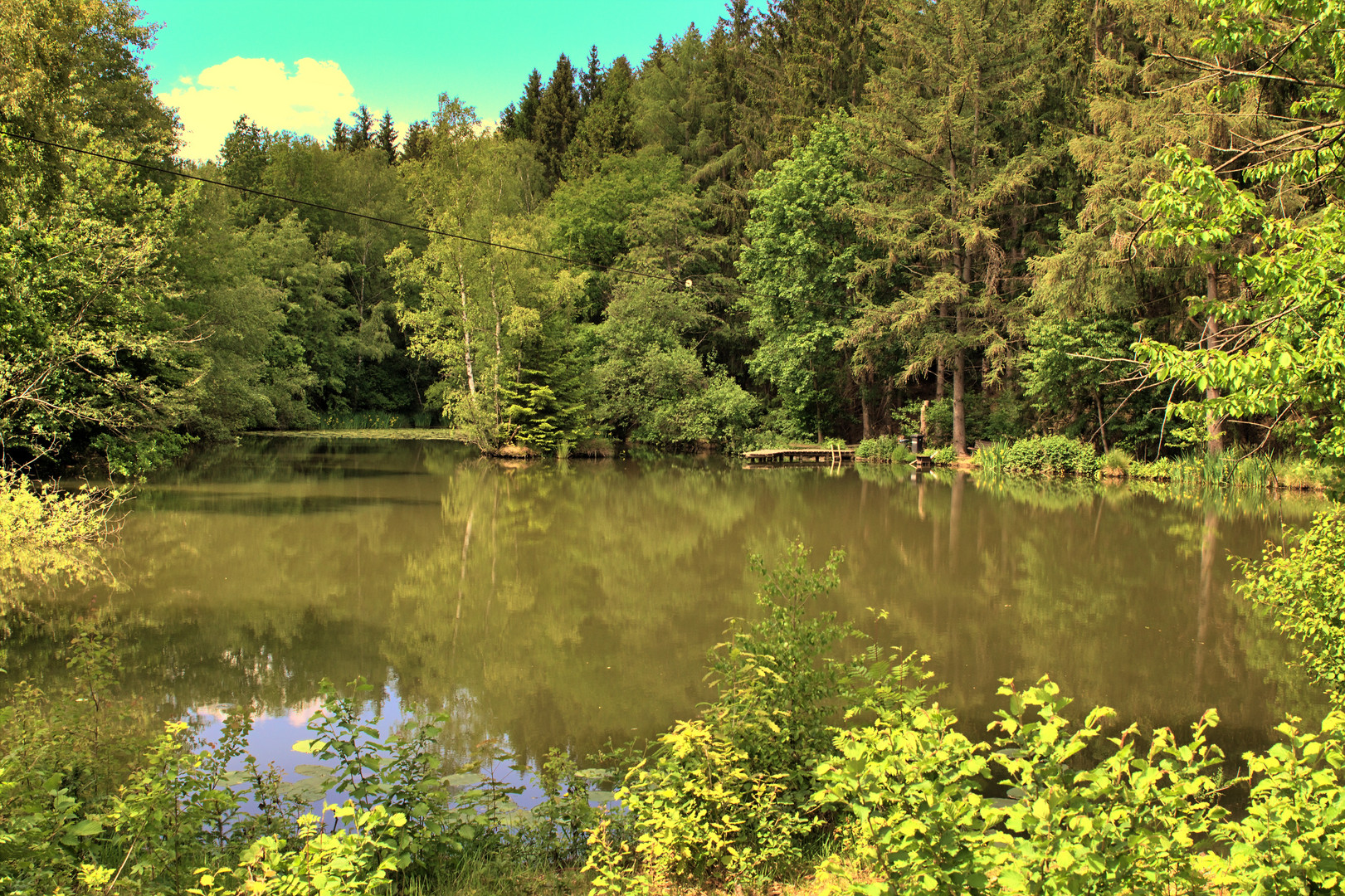 Weiher bei Reichshof-Heidberg NRW (HDR aus einer RAW Datei erzeugt)