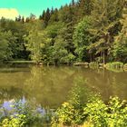 Weiher bei Reichshof-Heidberg NRW (HDR aus einer RAW Datei erzeugt)