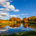 Weiher bei Schloss Tüschenbroich