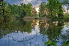 Weiher bei Sonnenuntergang