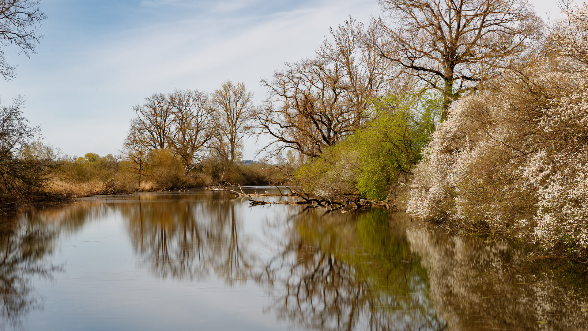 Weiher bei Thonstetten