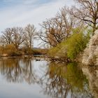 Weiher bei Thonstetten