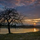 Weiher bei Wildensorg /Bamberg