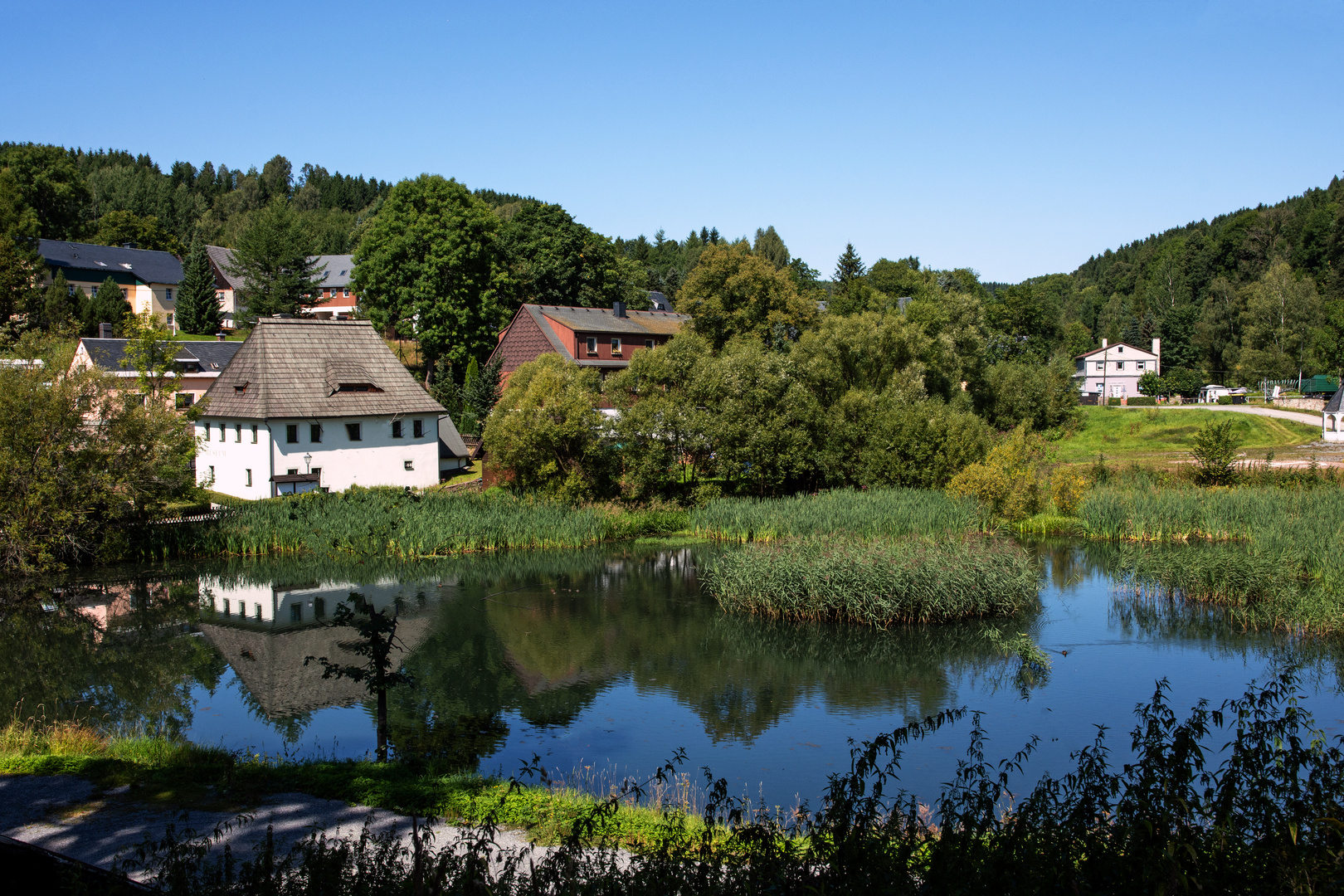 Weiher beim Schloss Purschenstein 