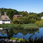 Weiher beim Schloss Purschenstein 