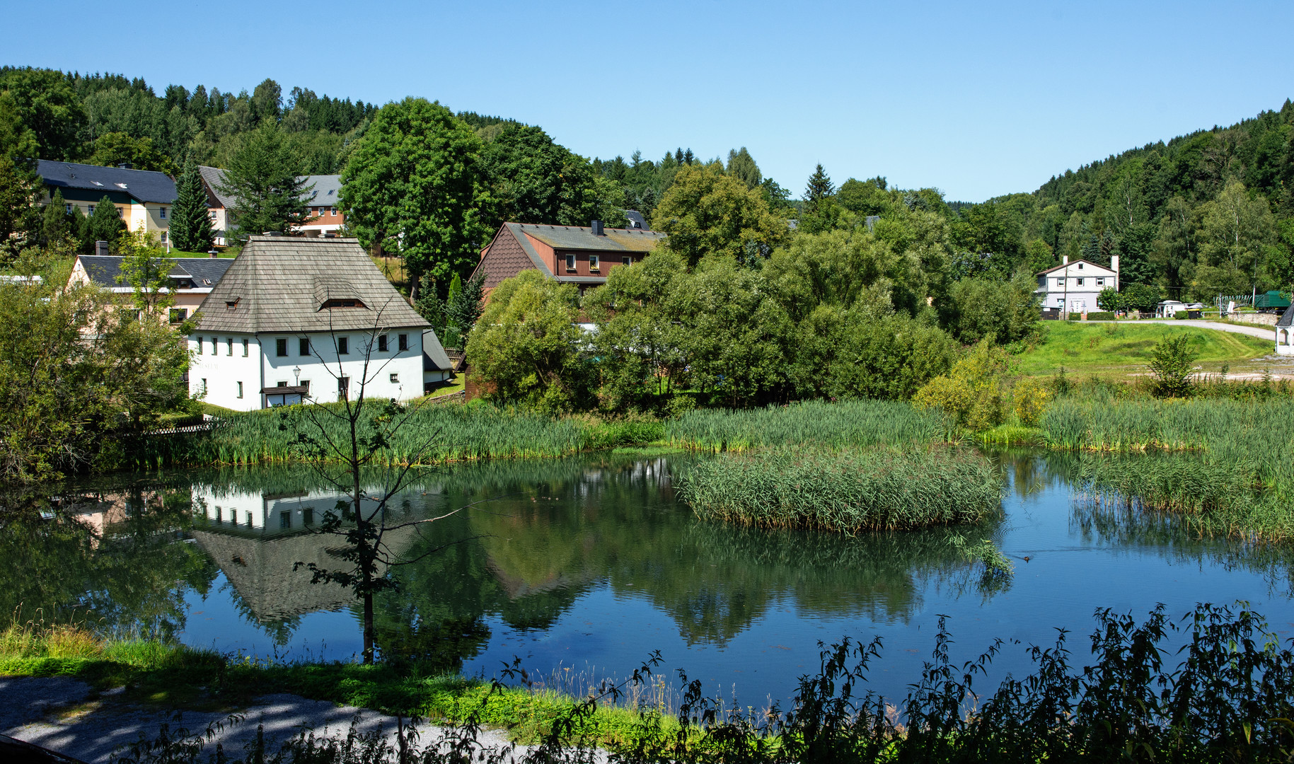 Weiher beim Schloss Purschenstein