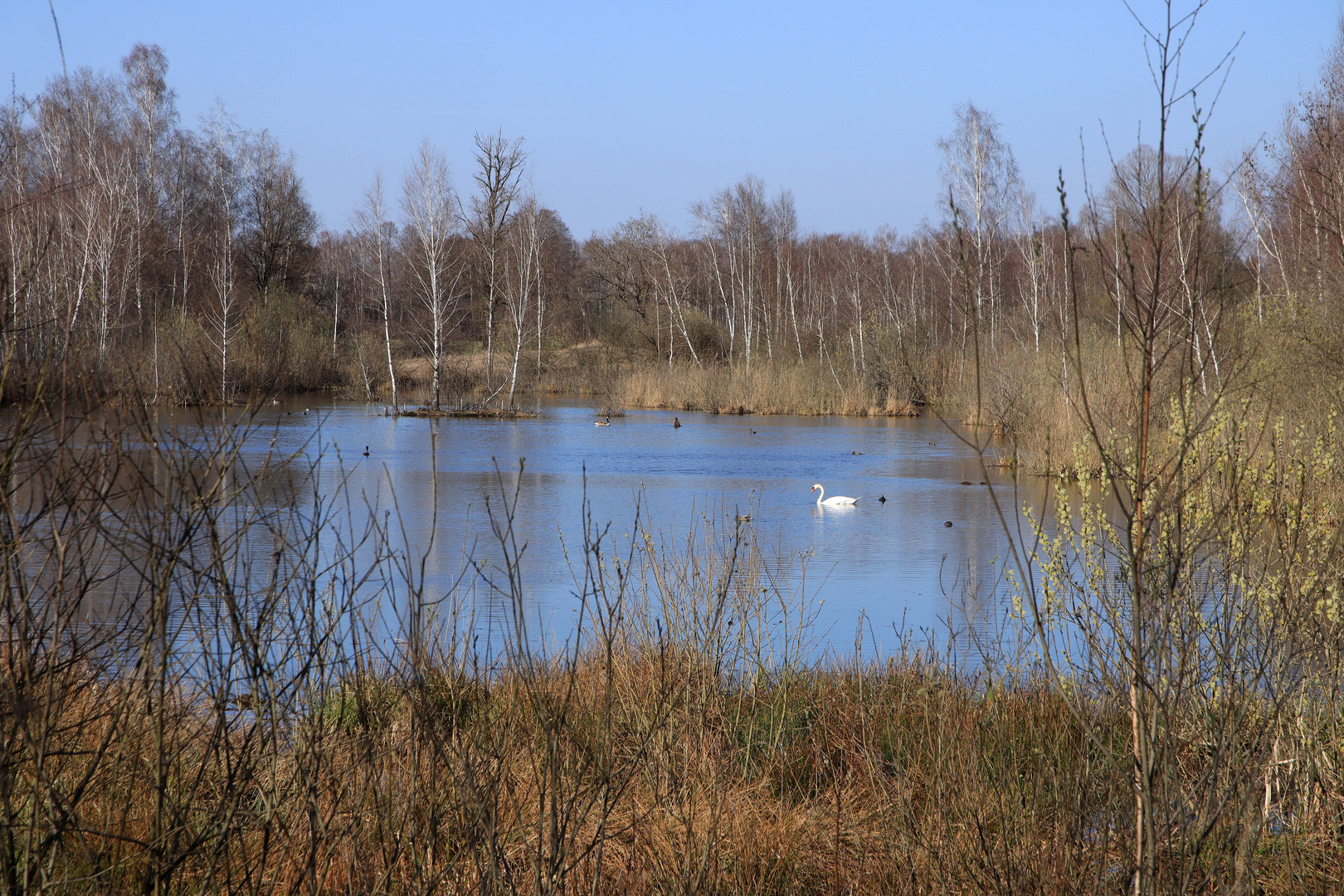 Weiher