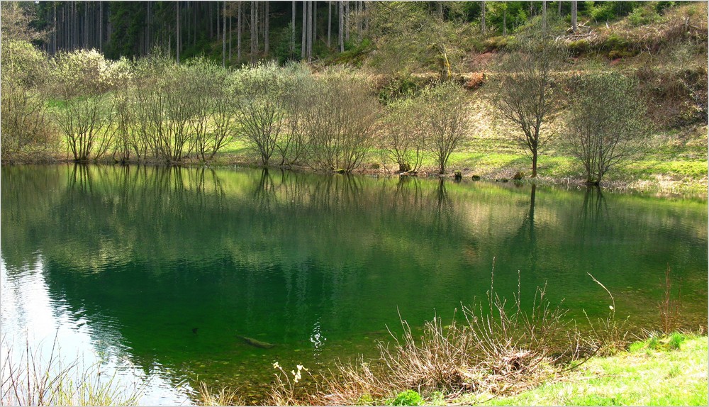 Weiher Foto & Bild landschaft, bach, fluss & see, see, teich & tümpel