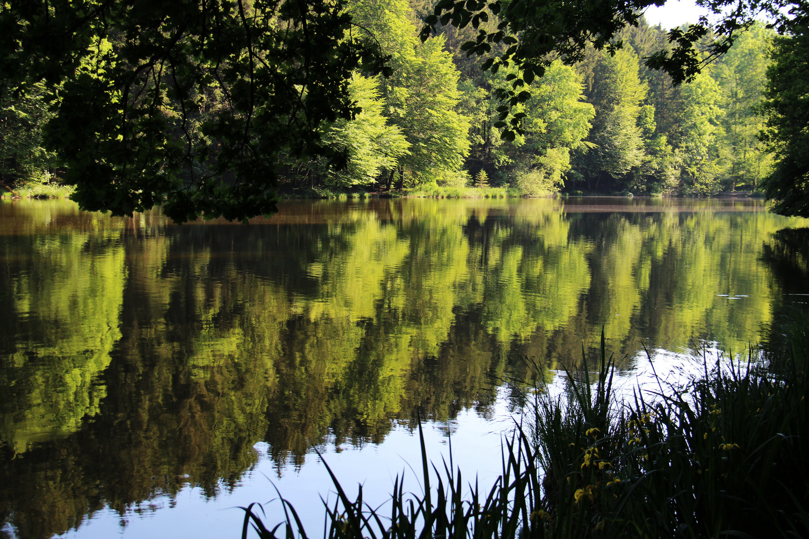 Weiher Foto & Bild landschaft, bach, fluss & see, see, teich & tümpel