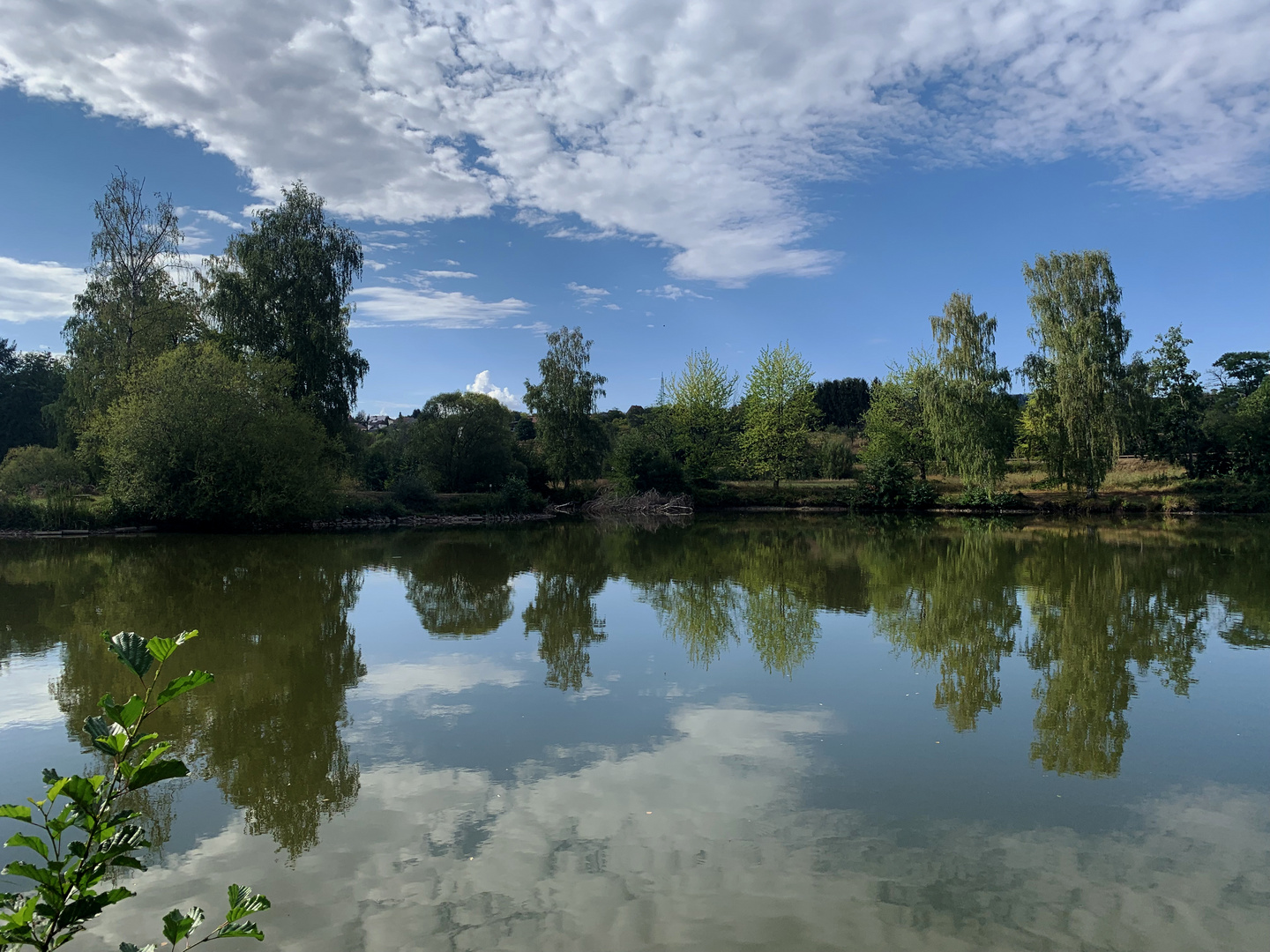 Weiher des ASV Piesbach