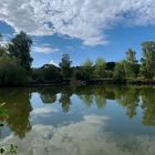 Weiher des ASV Piesbach