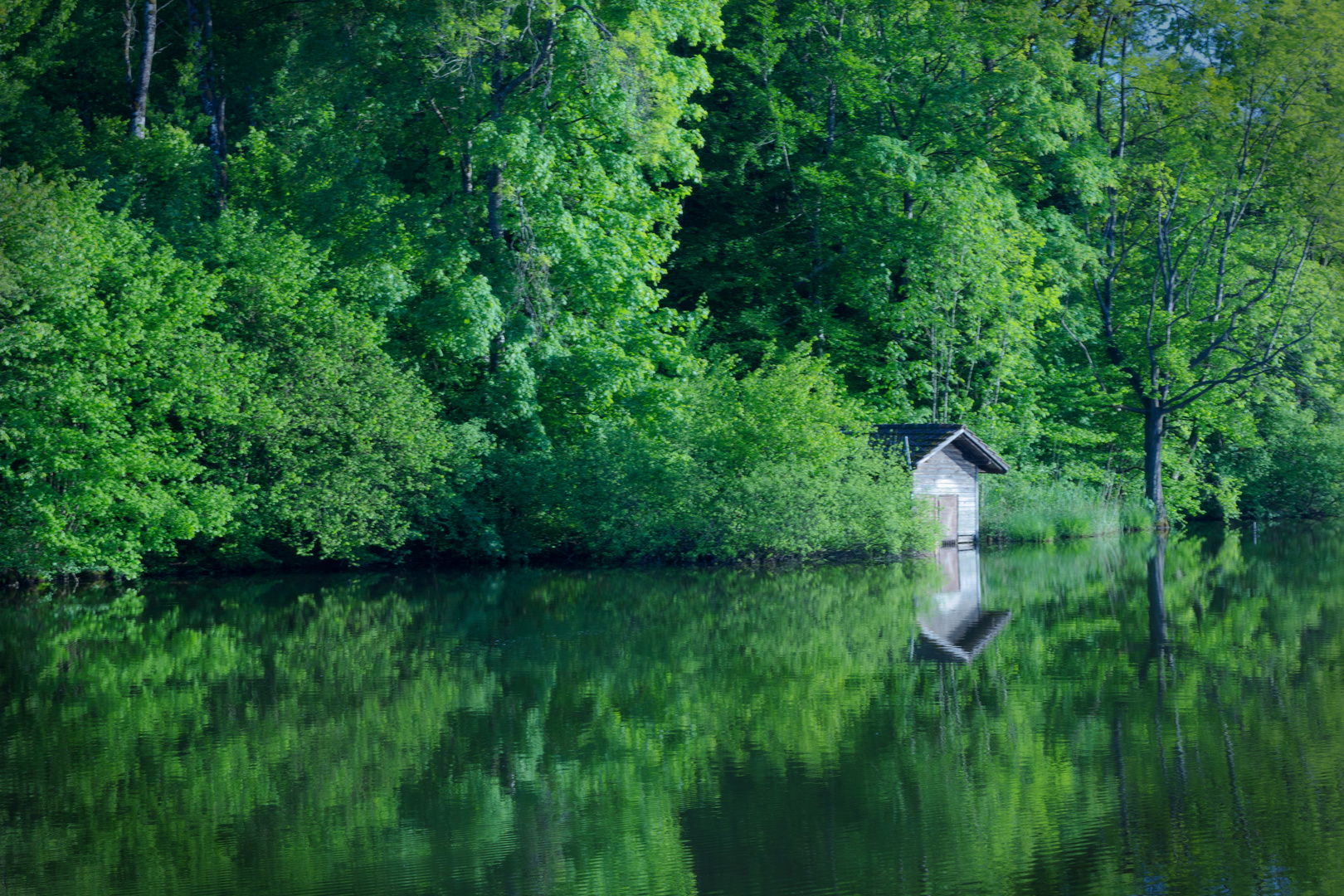 Weiher im Abendlicht