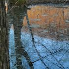 Weiher im Abendlicht