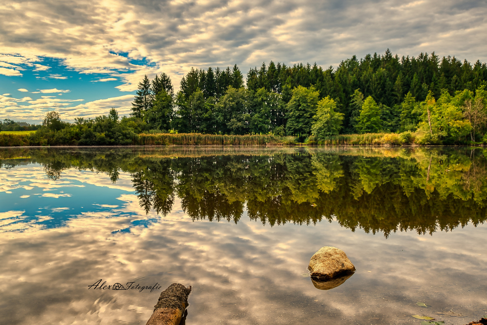 Weiher im Allgäu mit Spiegelung 