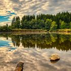 Weiher im Allgäu mit Spiegelung 