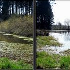 Weiher im Augsburger Naturpark