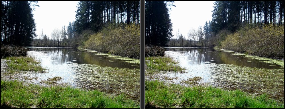 Weiher im Augsburger Naturpark