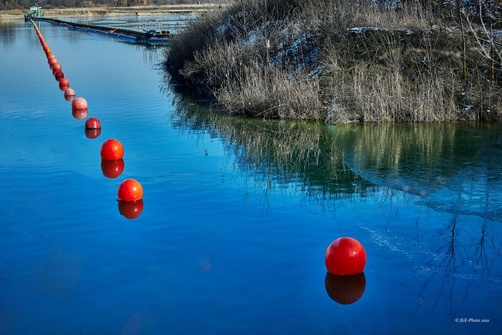 Weiher im Bereich Vorderer Altrhein