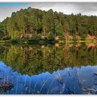 Weiher im Bockbachtal