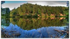 Weiher im Bockbachtal