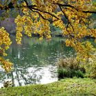 Weiher im Herbst *2*