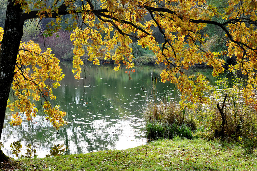 Weiher im Herbst *2*