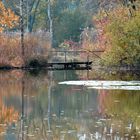 Weiher im Herbst *3*