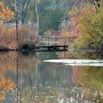 Weiher im Herbst *3*